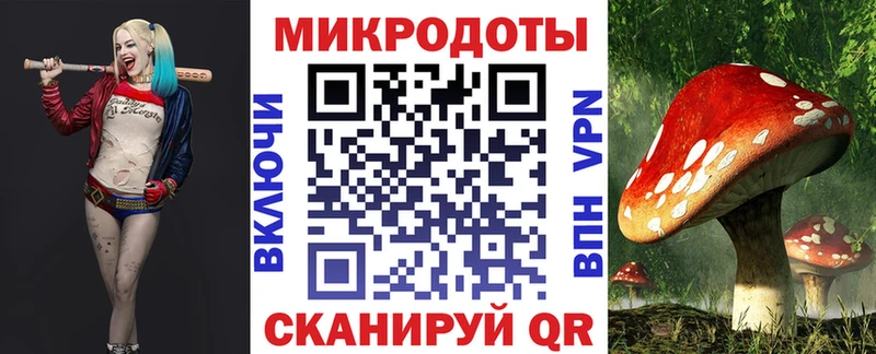 Галлюциногенные грибы Psilocybine cubensis  сколько стоит  Новошахтинск 